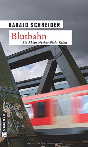 Blutbahn: Palzkis sechster Fall (Kriminalromane im GMEINER-Verlag)