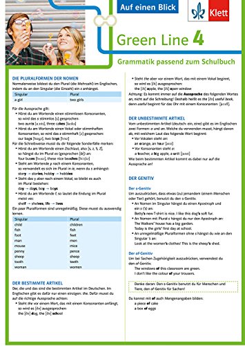 Klett Green Line 4 G8 Klasse 8 - Auf einen Blick: Grammatik passend zum Schulbuch: Grammatik passend zum Schulbuch - Klappkarte (6 Seiten)
