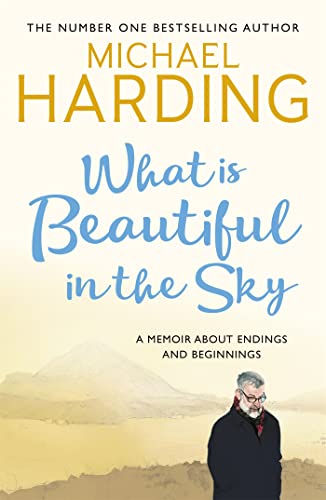 What is Beautiful in the Sky: A book about endings and beginnings What is Beautiful in the Sky: A book about endings and beginnings von Hachette Books Ireland