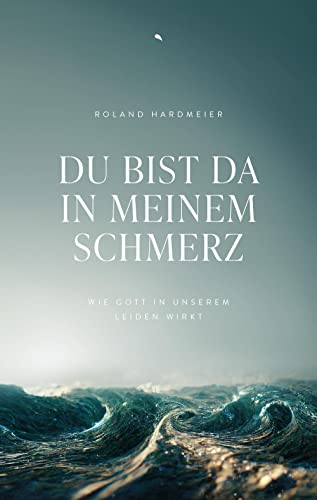 Du bist da in meinem Schmerz: Wie Gott in unserem Leiden wirkt von fontis