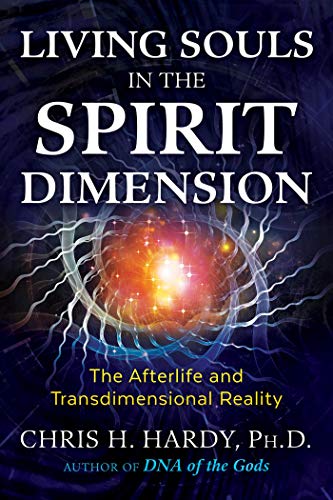 Living Souls in the Spirit Dimension: The Afterlife and Transdimensional Reality von Bear & Company