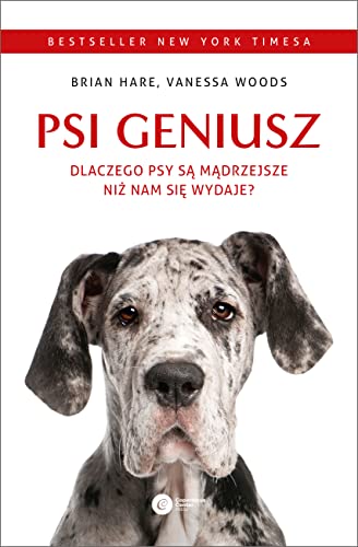 Psi geniusz: Dlaczego psy są mądrzejsze niż nam się wydaje?