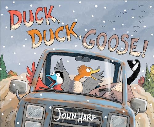 Duck, Duck, Goose! von Greenwillow Books