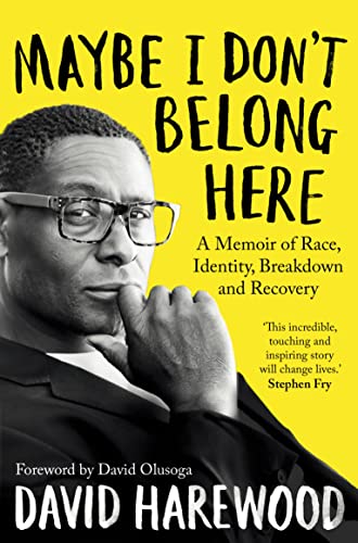 Maybe I Don't Belong Here: A Memoir of Race, Identity, Breakdown and Recovery von Bluebird