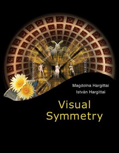 Visual Symmetry von Scientific Publishing