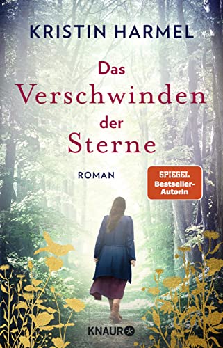 Das Verschwinden der Sterne: Roman