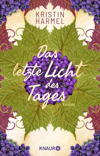 Das letzte Licht des Tages: Roman. Die dramatische Résistance-Geschichte einer französischen Familie bei Ausbruch des 2. Weltkriegs von Droemer Knaur*