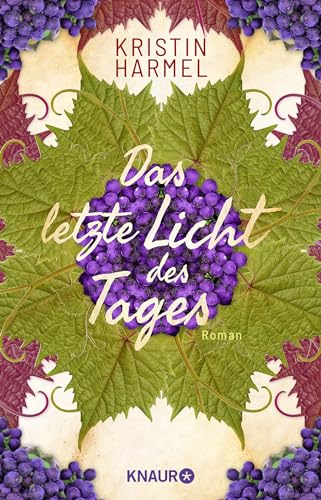 Das letzte Licht des Tages: Roman. Die dramatische Résistance-Geschichte einer französischen Familie bei Ausbruch des 2. Weltkriegs