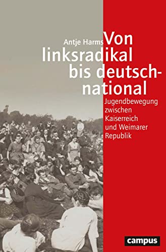 Von linksradikal bis deutschnational: Jugendbewegung zwischen Kaiserreich und Weimarer Republik (Geschichte und Geschlechter, 76) von Campus Verlag