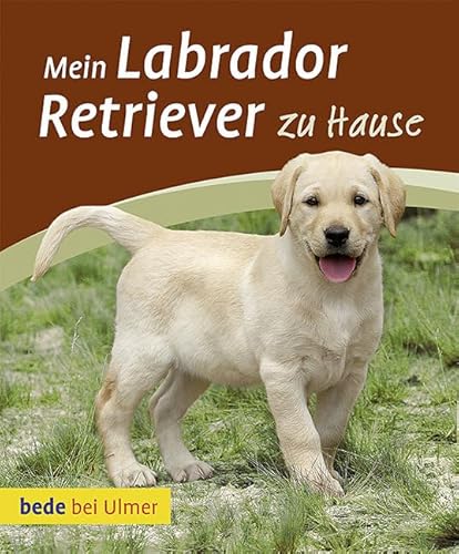 Mein Labrador Retriever zu Hause von Verlag Eugen Ulmer