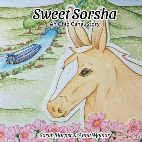 Sweet Sorsha: An Ohio Canal Story von Painted Pony Publishing