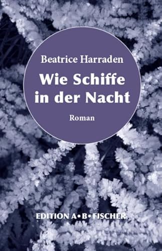 Wie Schiffe in der Nacht: Roman