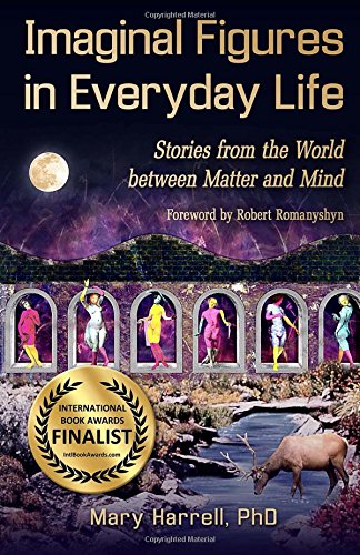 Imaginal Figures In Everyday Life: Stories from The World Between Matter And Mind