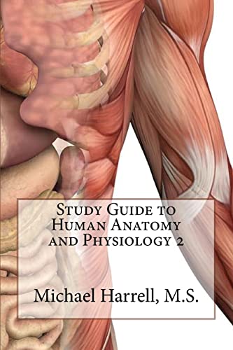 Study Guide to Human Anatomy and Physiology 2 von CREATESPACE