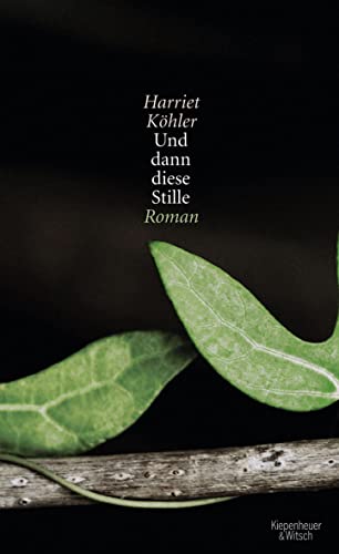 Und dann diese Stille: Roman von Kiepenheuer&Witsch