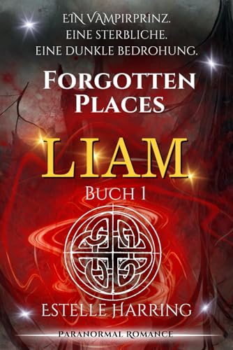 Forgotten Places: Liam (Buch 1)