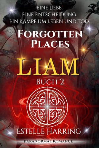 Forgotten Places: Liam (Buch 2)