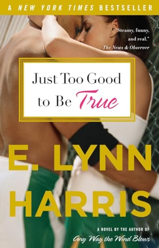 Just Too Good to Be True: A Novel von Anchor Books