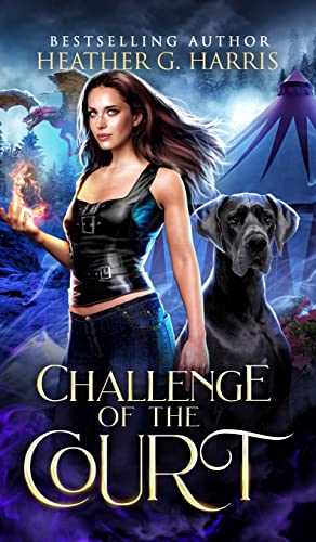 Challenge of the Court: An Urban Fantasy Novel (The Other Realm, Band 5) von Heather G. Harris