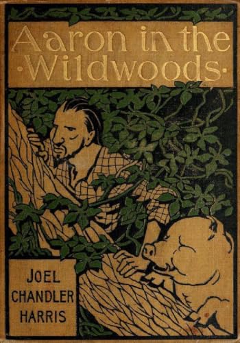 Aaron in the Wildwoods von Anson Street Press