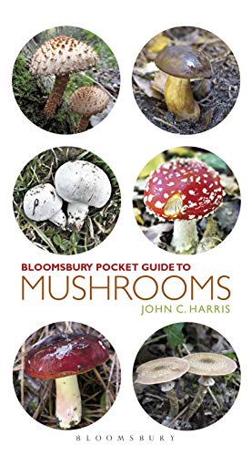 Pocket Guide to Mushrooms (Pocket Guides)