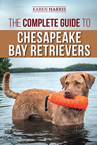 The Complete Guide to Chesapeake Bay Retrievers: Training, Socializing, Feeding, Exercising, Caring for, and Loving Your New Chessie Puppy The Complete Guide to Chesapeake Bay Retrievers: Training, Socializing, Feeding, Exercising, Caring for, and Loving Your New Chessie Puppy