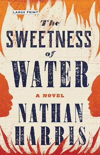 The Sweetness of Water: A Novel