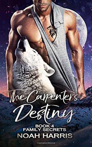 The Carpenter's Destiny (Family Secrets, Band 4)