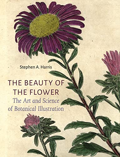 The Beauty of the Flower: The Art and Science of Botanical Illustration von Reaktion Books
