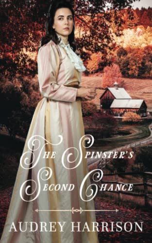 The Spinster's Second Chance (The Spinster Series, Band 2) von Independently published
