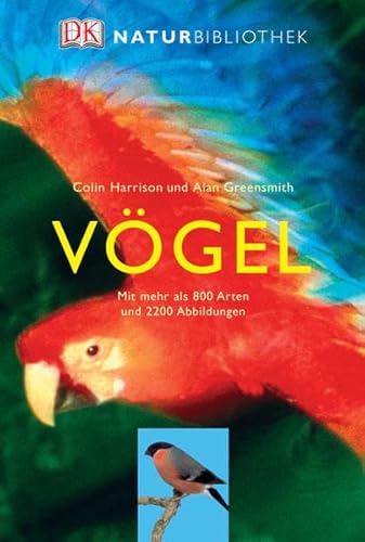 Vögel: Mit mehr als 800 Arten