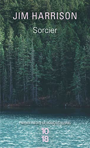 Sorcier von 10 X 18