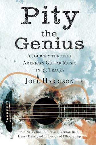 Pity the Genius: A Journey through American Guitar Music in 33 Tracks