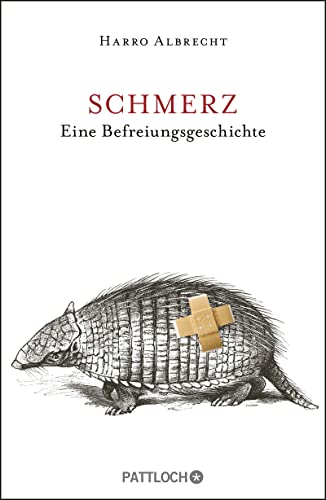 Schmerz: Eine Befreiungsgeschichte