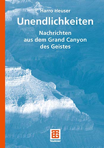 Unendlichkeiten: Nachrichten aus dem Grand Canyon des Geistes von Vieweg+Teubner Verlag