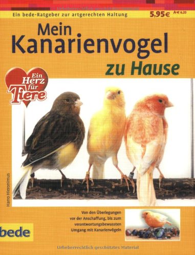 Kanarienvogel, zu Hause