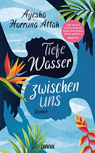 Tiefe Wasser zwischen uns: Roman von Diana Taschenbuch
