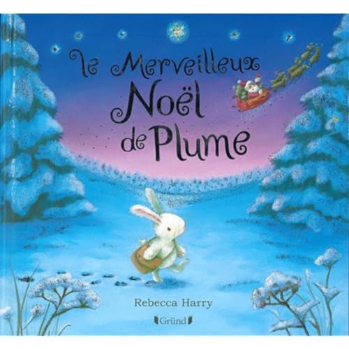 Le merveilleux Noël de Plume (NE)