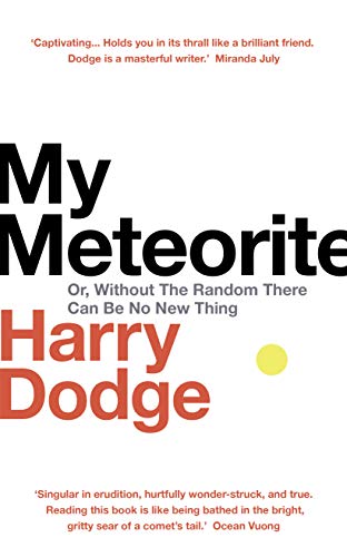 My Meteorite: Or, Without The Random There Can Be No New Thing von Harvill Secker
