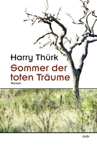 Sommer der toten Träume: Roman