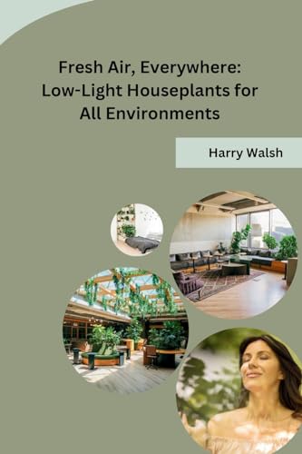 Fresh Air, Everywhere: Low-Light Houseplants for All Environments von Self