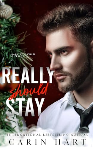 Really Should Stay: a Dark Christmas Romance (Reed Twins, Band 2)