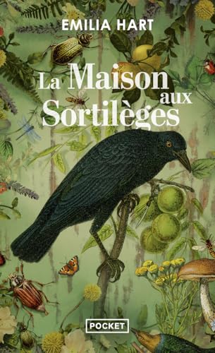 La Maison aux sortilèges von POCKET