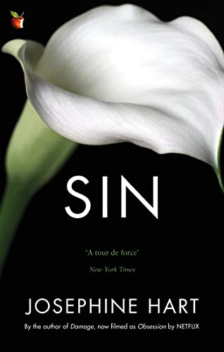 Sin: By the author of DAMAGE, inspiration for the Netflix series OBSESSION (Virago Modern Classics)