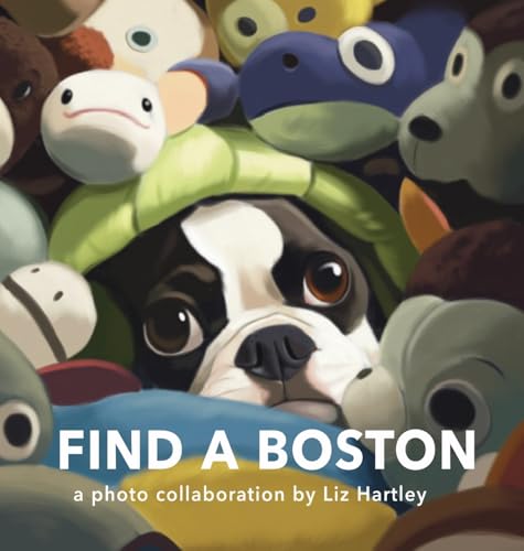 Find a Boston von Gatekeeper Press