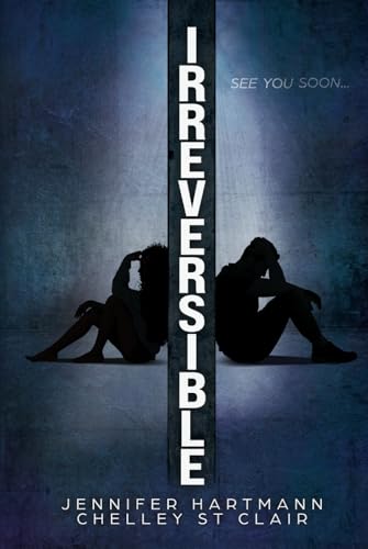 Irreversible von Independently published