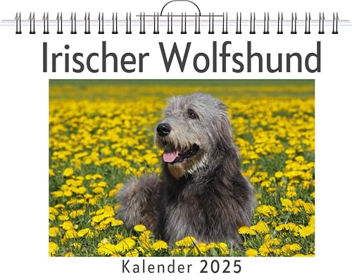 Irischer Wolfshund - (Wandkalender 2025, Kalender DIN A4 quer, Monatskalender im Querformat mit Kalendarium, das perfekte Geschenk) von FlipFlop