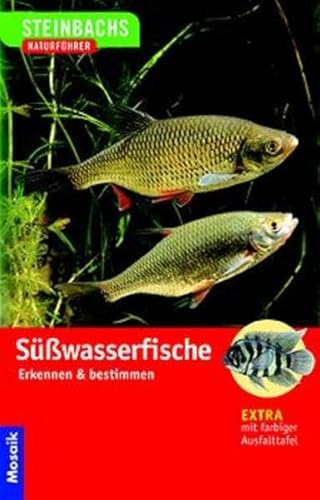 Süsswasserfische