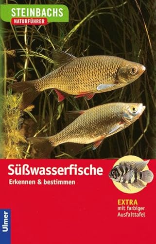 Süßwasserfische: Erkennen und bestimmen (Steinbachs Naturführer)