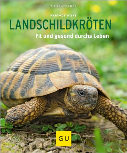 Landschildkröten: Fit und gesund durchs Leben von Gräfe und Unzer